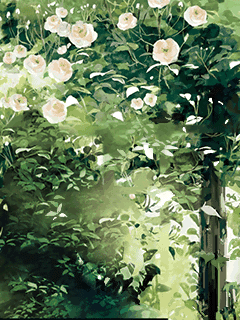 【背景】[庭春樹]白薔薇の園