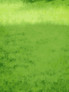 【背景】[大正×対称ｱﾘｽ]芝生