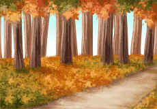 【あいさつ背景】[あいさつ用]秋の森の中