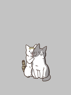 【ペット】[うち猫]ﾄﾝちゃんをなめるｼﾉさん