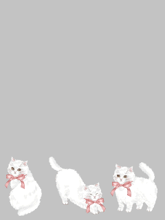 【ペット】[yayoi]fluffy cat