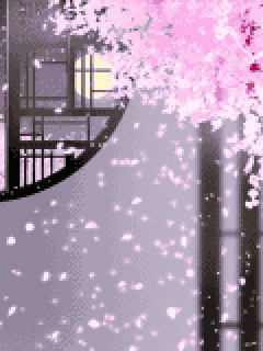 【背景】[紅葉さん]夜桜背景