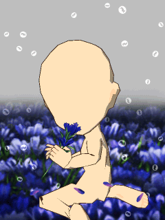 【高級品】[Aちき]青い花と涙の雨