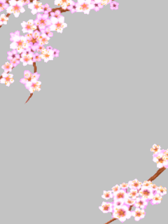 【フレーム】[薄桜鬼-恋衣録-]桜の枝のﾌﾚｰﾑ