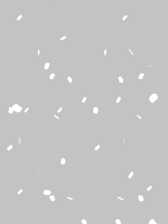 【エフェクト】[小林幸子]輝く紙吹雪