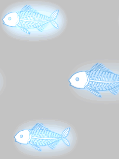 【ペット】透明魚群
