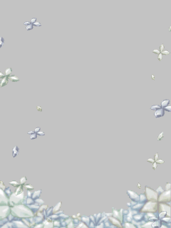 【フレーム】[ｶﾞﾗｽの花]ｶﾞﾗｽの花