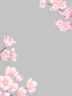 【フレーム】[さつまい]揺れる桜ﾌﾚｰﾑ