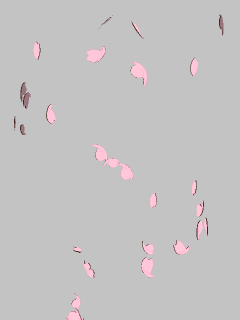 【エフェクト】[ｱｲﾏﾘﾝ]渦巻く桜の花びら