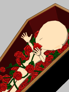【高級品】[D]薔薇の棺に入る