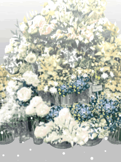 【高級品】[pretty!]白い花