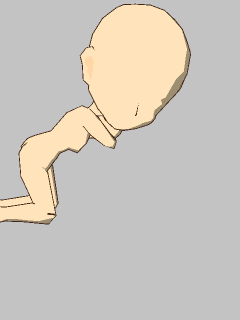 【モーション】[くるねこ]寝そべる