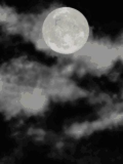 【背景】何かが起こりそうな夜