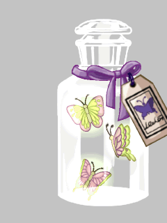 【高級品】瓶に入った夜光蝶