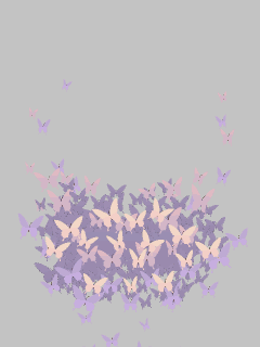 【高級品】集う蝶たち