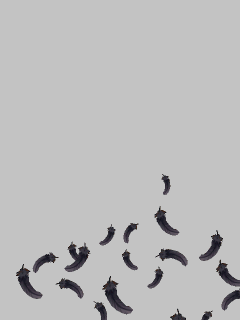 【エフェクト】風に舞う羽