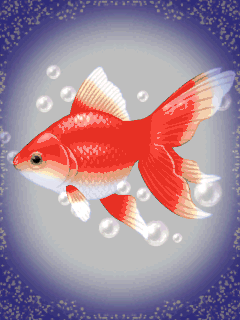 はっち「朝顔と金魚」2個 はっち様専用「朝顔と金魚」2個 - メルカリ