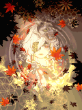 ∮夢桜∮