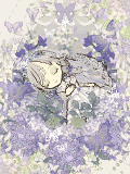 "†ichtys†"