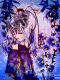 ☆йa-йa｡