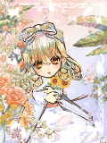 りすさん