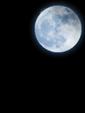 宮明