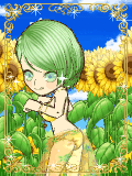 いしたか