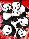 ribon